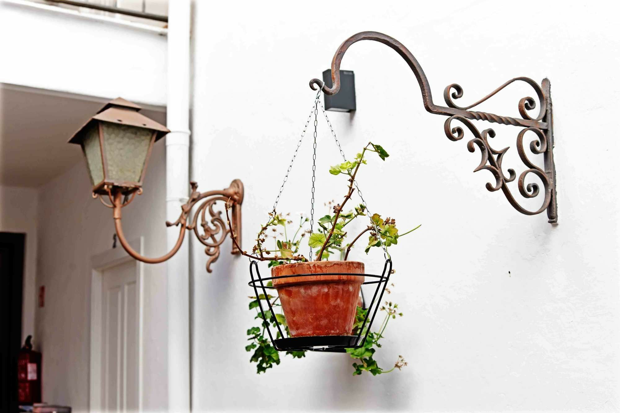 Selecta Venerables Appartement