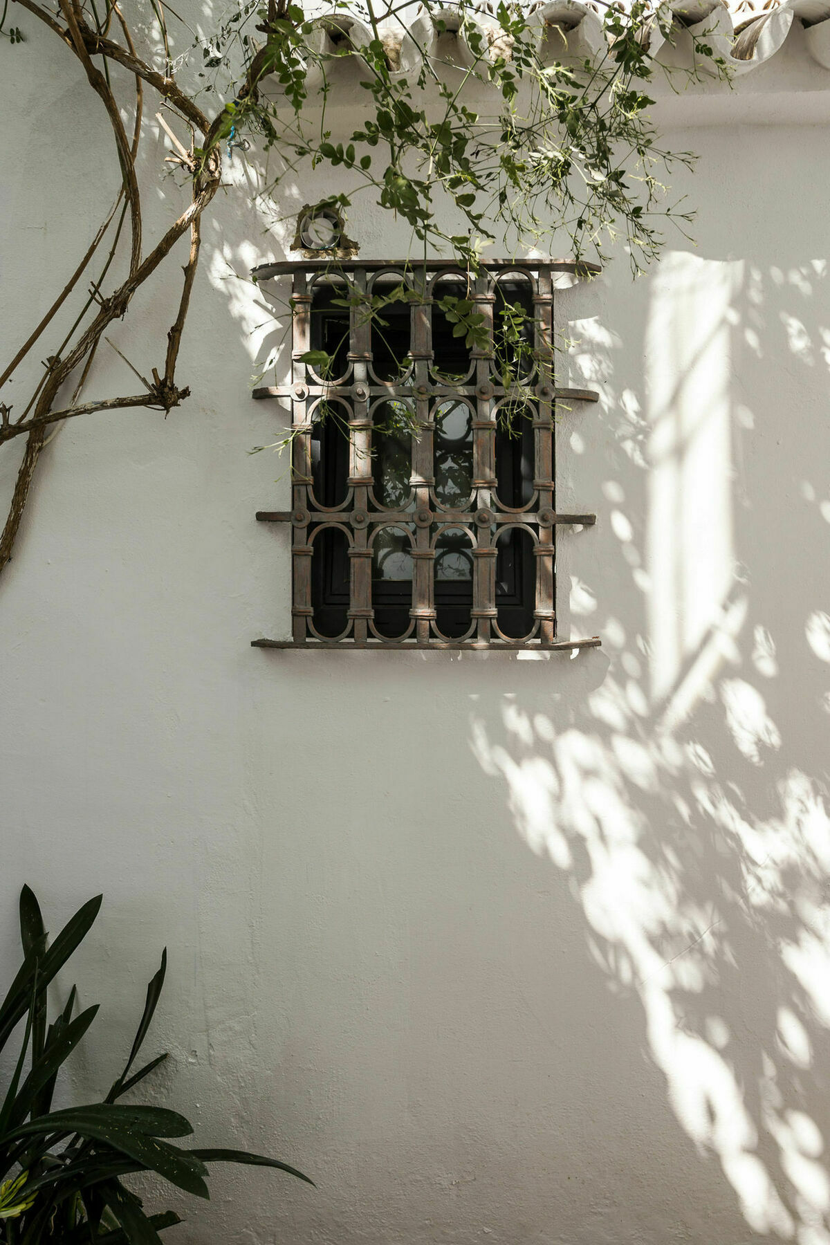 Selecta Venerables Seville