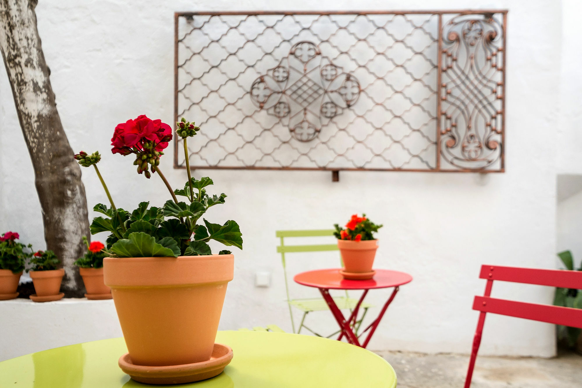 Selecta Venerables Seville