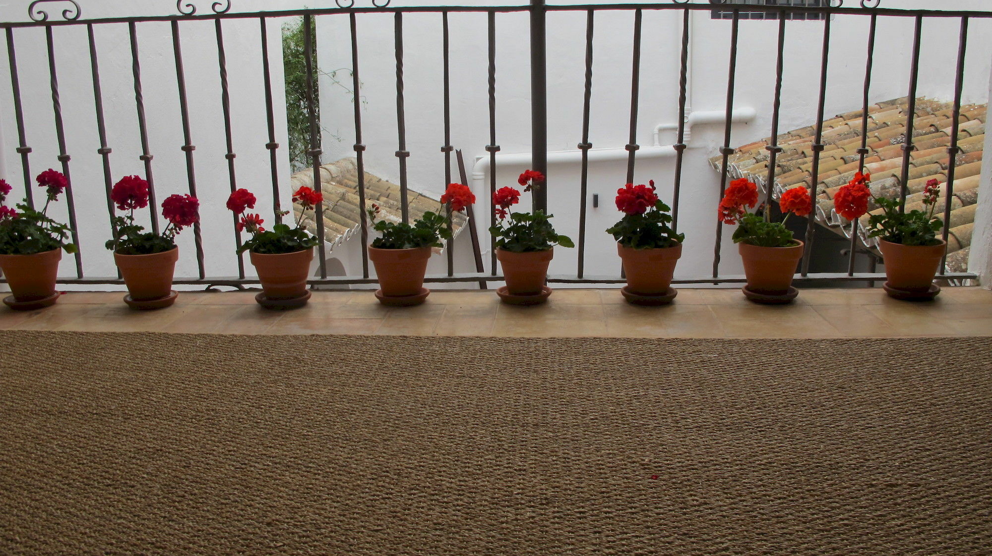 Selecta Venerables Apartment *