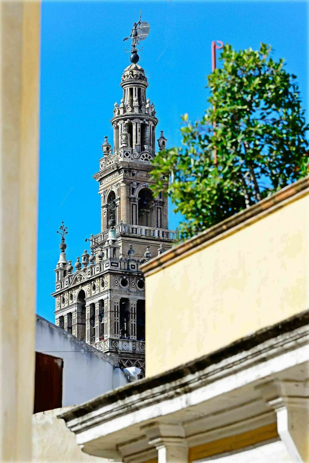 Selecta Venerables Seville