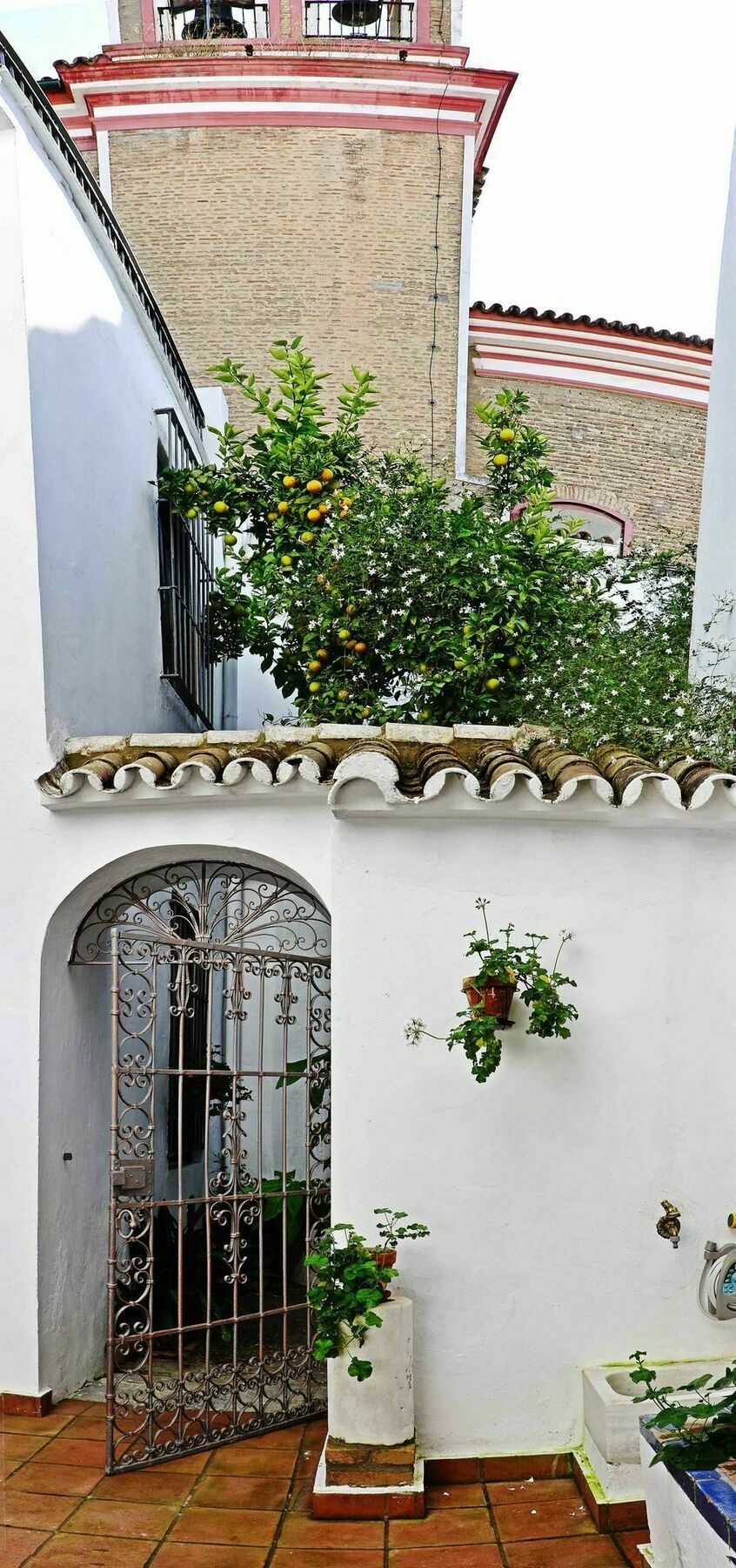 Selecta Venerables Seville